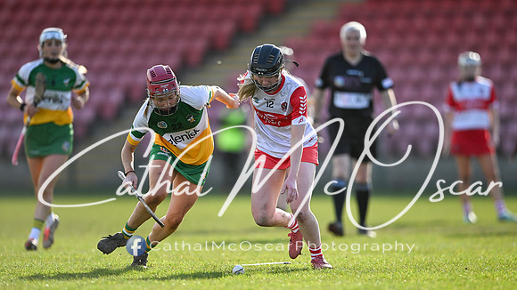 Derry v Offaly (99 of 142)