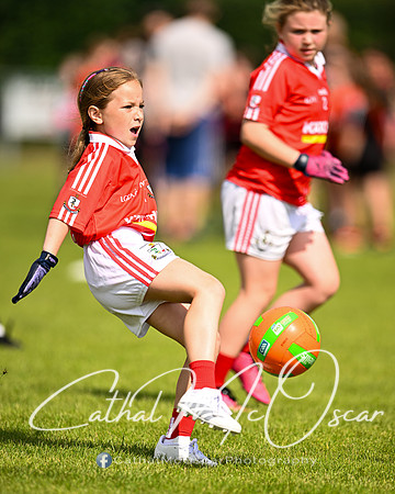 Go Games at Ballymaguigan (130 of 188)