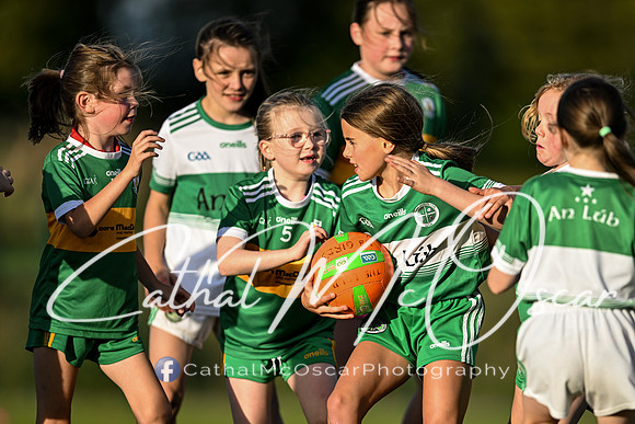 Ballymaguigan v Loup-22