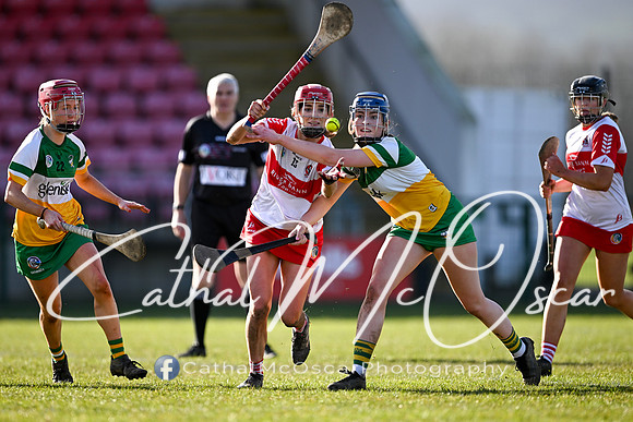 Derry v Offaly (100 of 142)