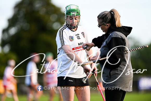 Castledawson v Ballerin-34
