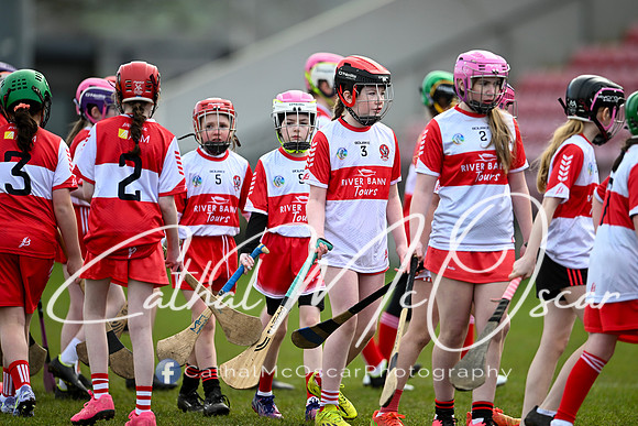 Derry v Offaly (75 of 142)
