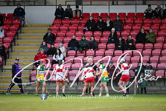Derry v Offaly (43 of 142)