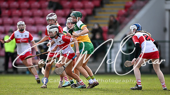 Derry v Offaly (46 of 142)