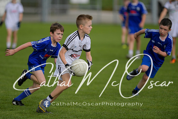 Castledawson U9 Tournament (98 of 250)
