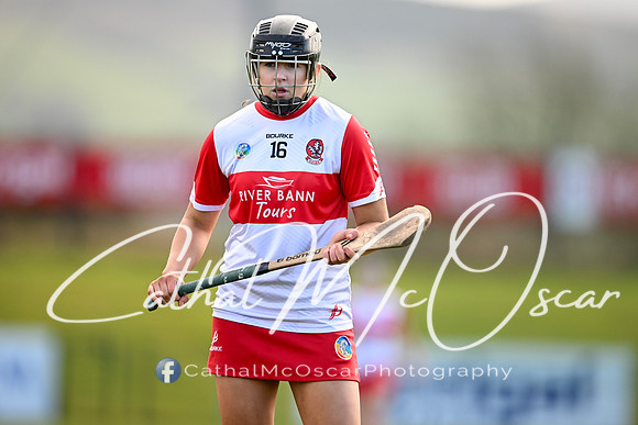 Derry v Offaly (87 of 142)
