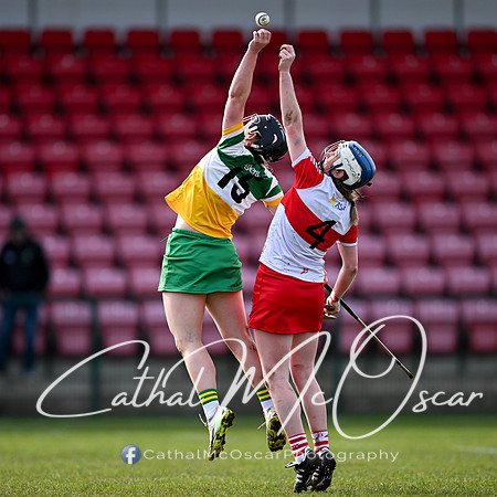 Derry v Offaly (47 of 142)