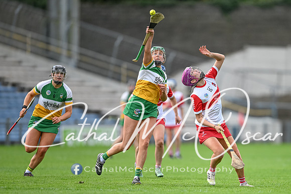 Derry v Offaly (101 of 148)