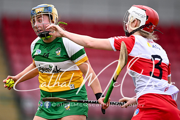 Derry v Offaly (14 of 142)