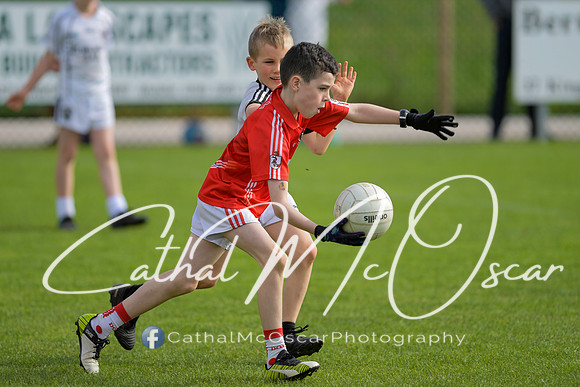 Castledawson U9 Tournament (65 of 250)