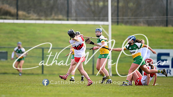 Derry v Offaly (41 of 142)