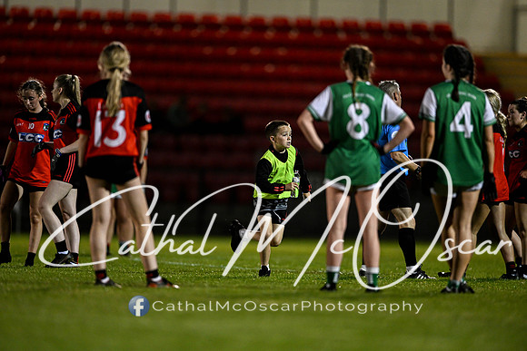 Craigbane v Lissan (166 of 186)