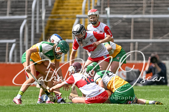 Derry v Offaly (112 of 148)