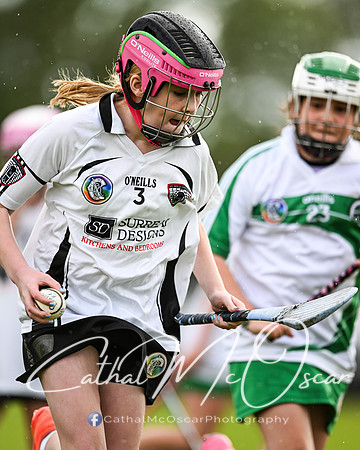 Castledawson v Loup (22 of 101)