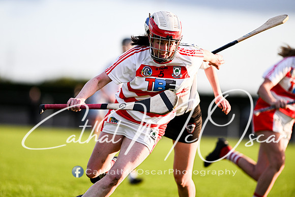 Castledawson v Ballerin-45