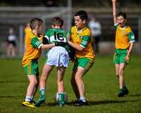 U11 Desertmartin Tournament (21 of 87)