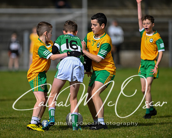U11 Desertmartin Tournament (21 of 87)