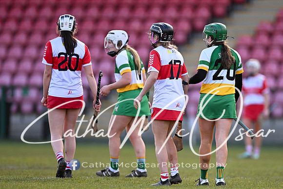 Derry v Offaly (115 of 142)