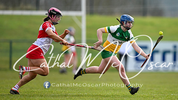 Derry v Offaly (53 of 142)