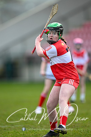 Derry v Offaly (68 of 142)