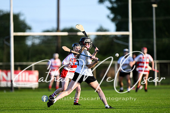 Castledawson v Ballerin-31