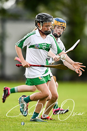 Castledawson v Loup (44 of 101)