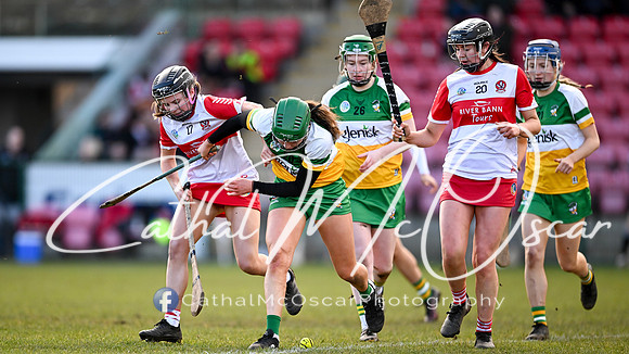 Derry v Offaly (131 of 142)