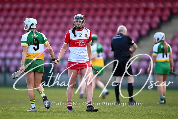 Derry v Offaly (136 of 142)