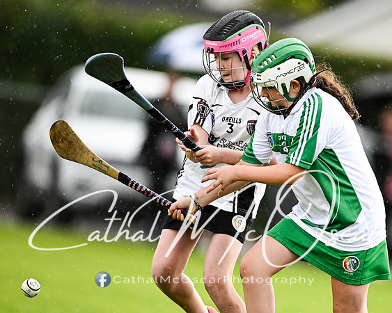 Castledawson v Loup (28 of 101)