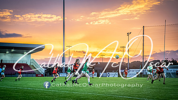 Craigbane v Lissan (7 of 186)