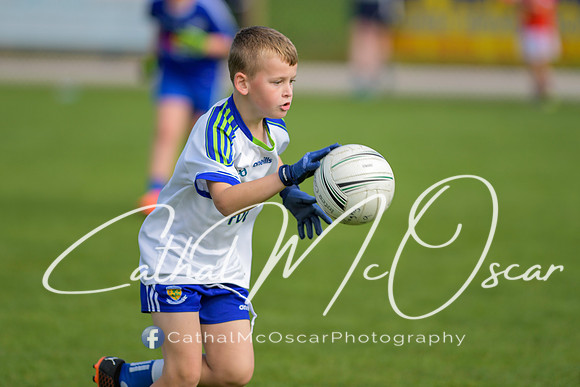 Castledawson U9 Tournament (1 of 250)