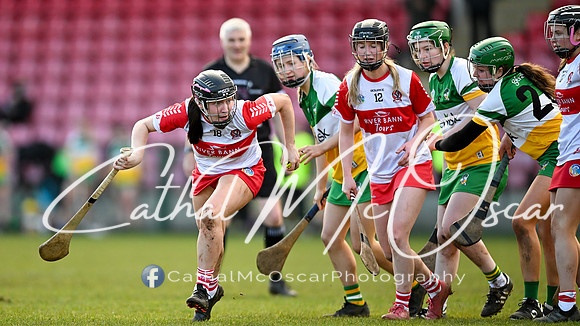 Derry v Offaly (134 of 142)