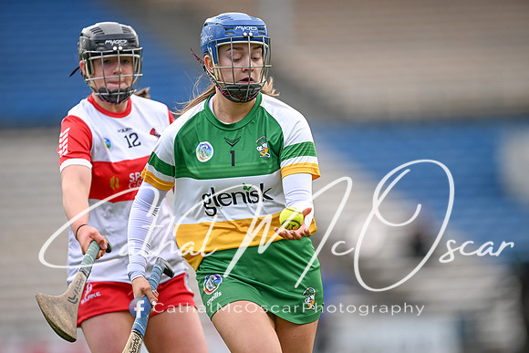 Derry v Offaly (141 of 148)