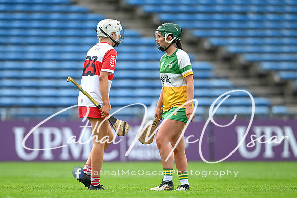Derry v Offaly (104 of 148)