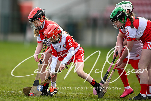 Derry v Offaly (61 of 142)