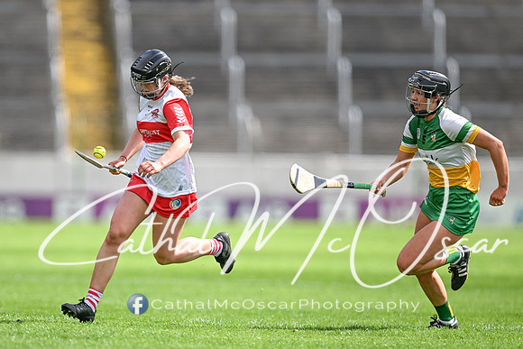 Derry v Offaly (63 of 148)