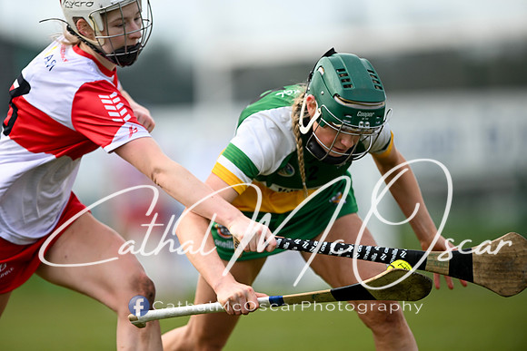 Derry v Offaly (30 of 142)