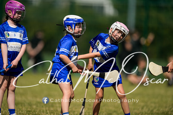 U10 and U16 Ashbourne Games-154