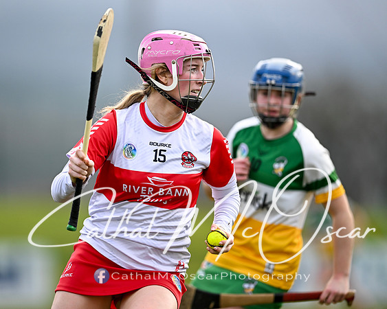 Derry v Offaly (36 of 142)