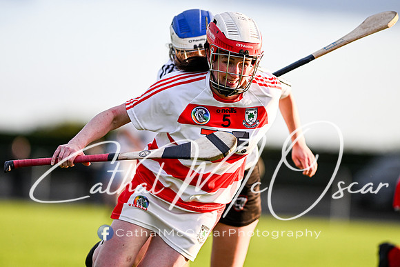 Castledawson v Ballerin-46