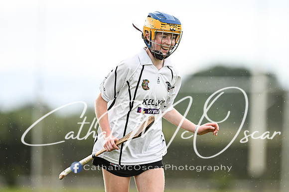 Castledawson v Loup (36 of 101)