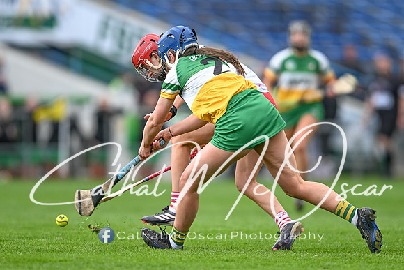 Derry v Offaly (83 of 148)