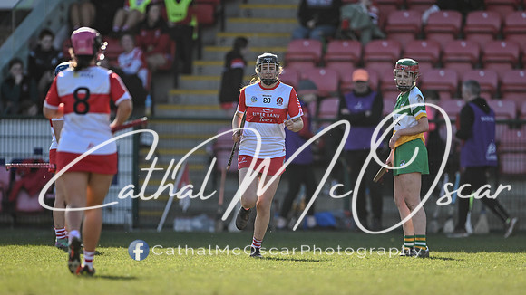 Derry v Offaly (106 of 142)