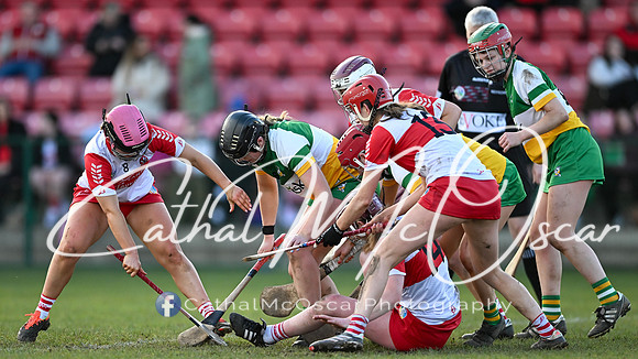Derry v Offaly (96 of 142)