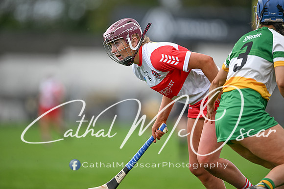 Derry v Offaly (98 of 148)