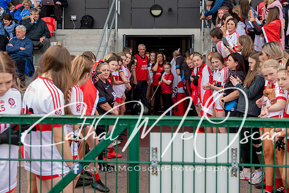 Derry v Offaly (258 of 260)