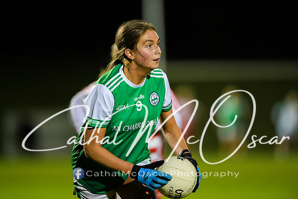 Ballerin v Craigbane (65 of 201)