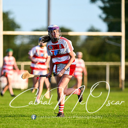 Castledawson v Ballerin-59