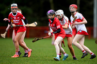 Derry Minors v Tyrone Seniors (5 of 143)