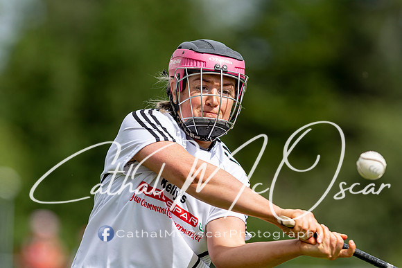 Castledawson v Lavey II (30 of 130)